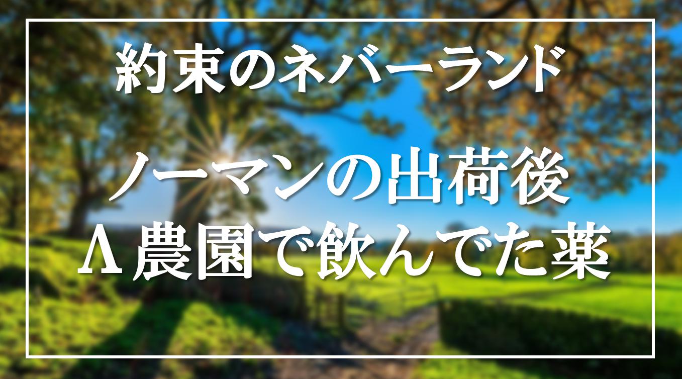 約束のネバーランド ノーマンの出荷後の生活は ラムダで飲んだ薬の正体も アニモドラ