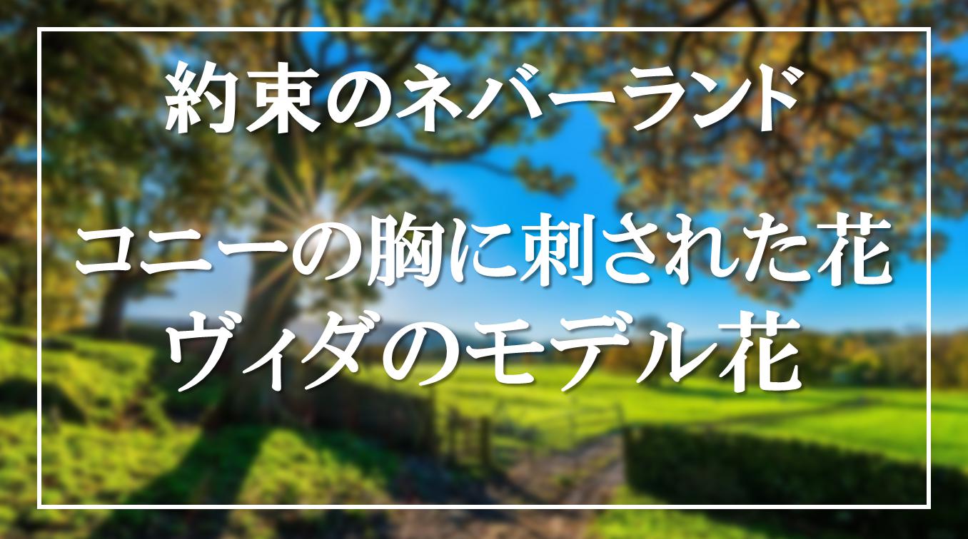 約束のネバーランド 人の胸に刺さった花 ヴィダのモデルの花言葉は アニモドラ